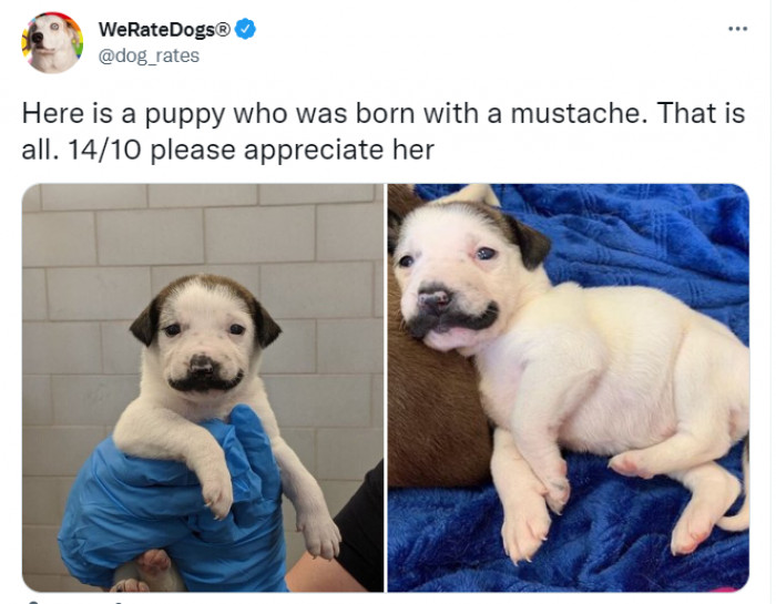 2. Always a gentleman.