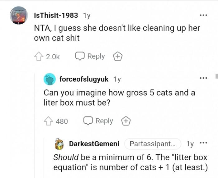 She doesn't like cleaning up after her cat