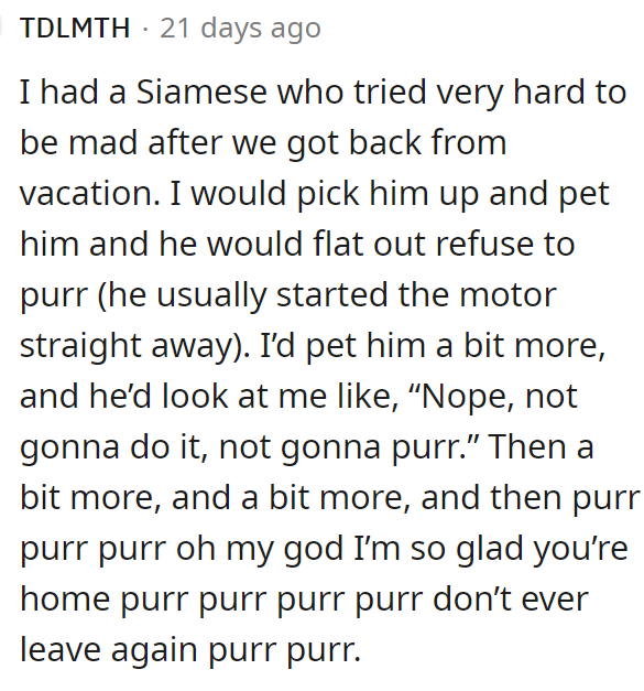 Cats can hold a grudge.