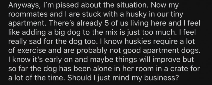 OP and their roommates did not know how to deal with the situation they found themselves in.