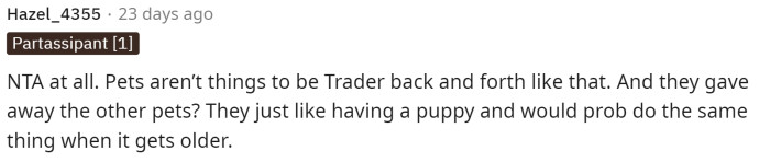 Pets are a full commitment, and clearly, those owners weren't ready for that. While that's okay, it doesn't mean they're entitled to get the dog back.