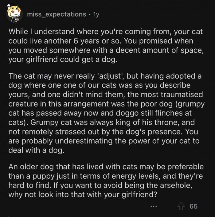 The cat could live another six years, and that's a long time.