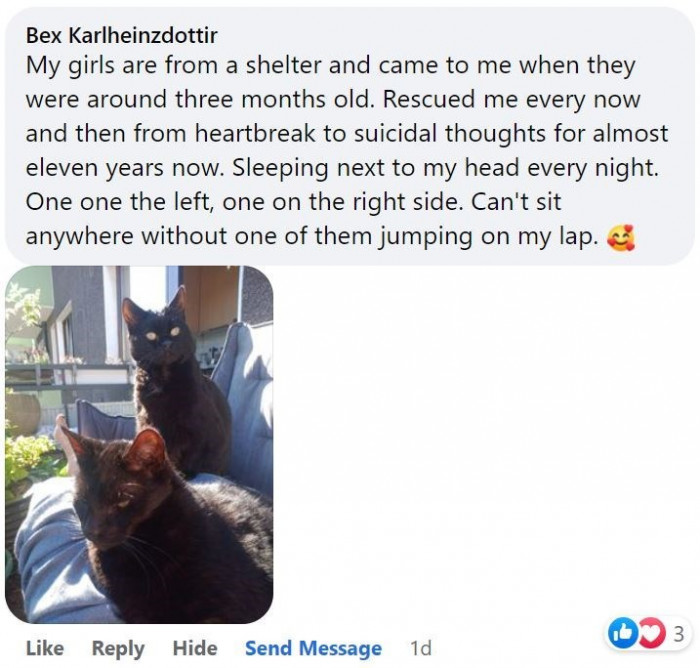 5. Cats became the warm and shining light to this sad soul.