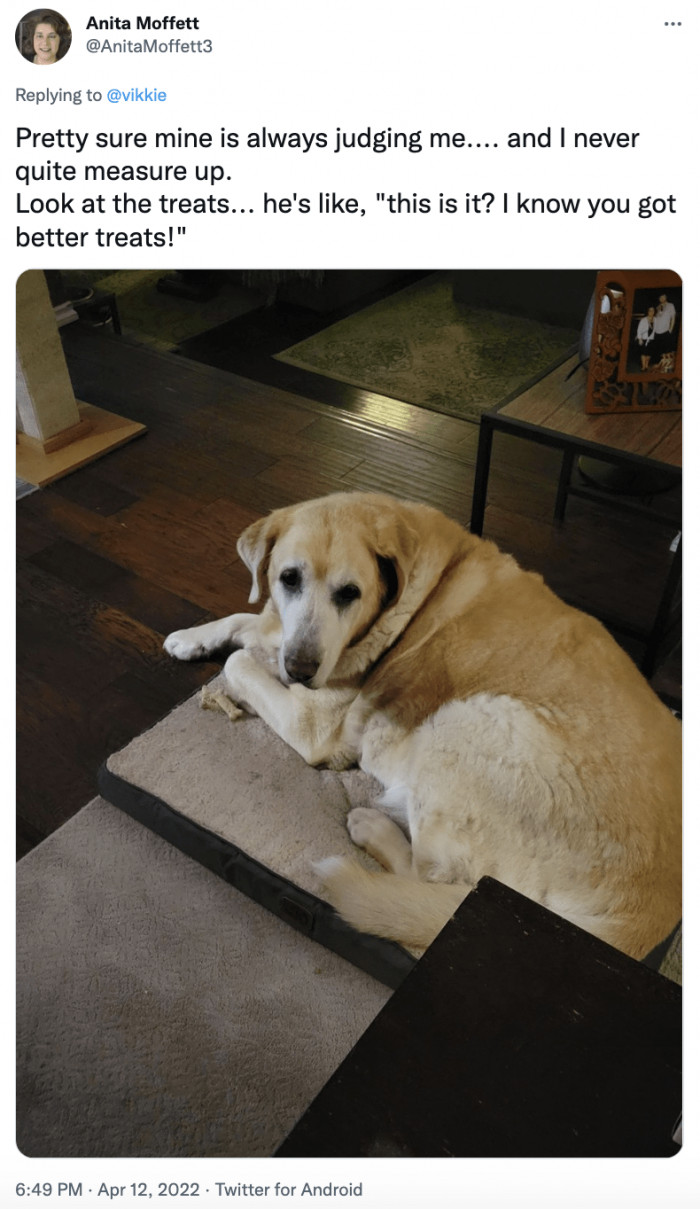 8. I know you've got better treats