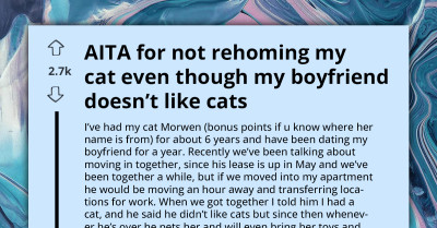 "We All Have To Make Sacrifices" - AITA For Prioritizing My Cat Over My Relationship