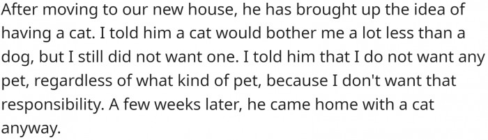 He suddenly got the idea of getting a cat when they moved to a new home. OP said no. He brought home a cat anyway.
