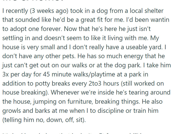 OP adopted a dog that was initially believed to be a perfect match for them. However, the reality turned out to be much different.