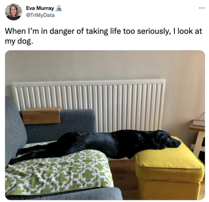 23. Lower back pain is no joke