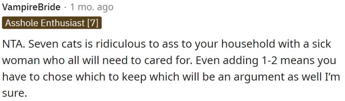 Even a cat or two is a huge responsibility in a household with a sick woman.