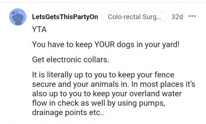You have to keep your dogs in your yard