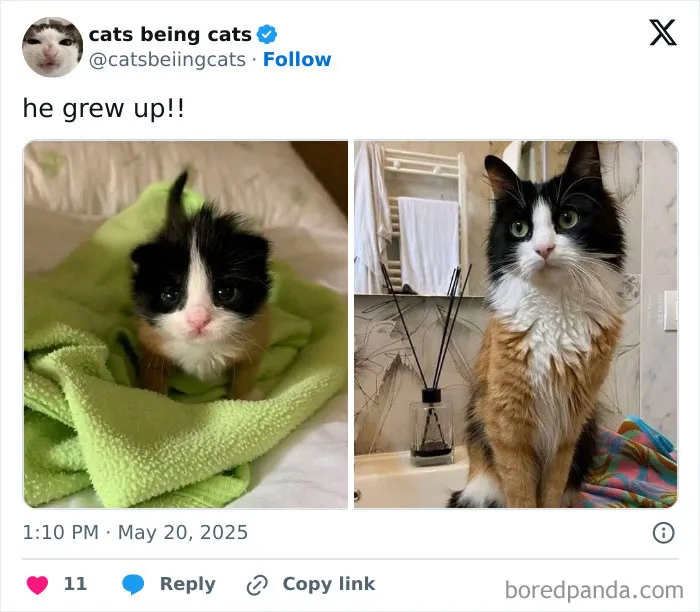 37. From burrito to boss in one glow-up.