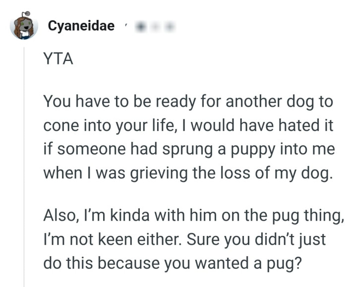 This Redditor is with OP's bf on the pug issue