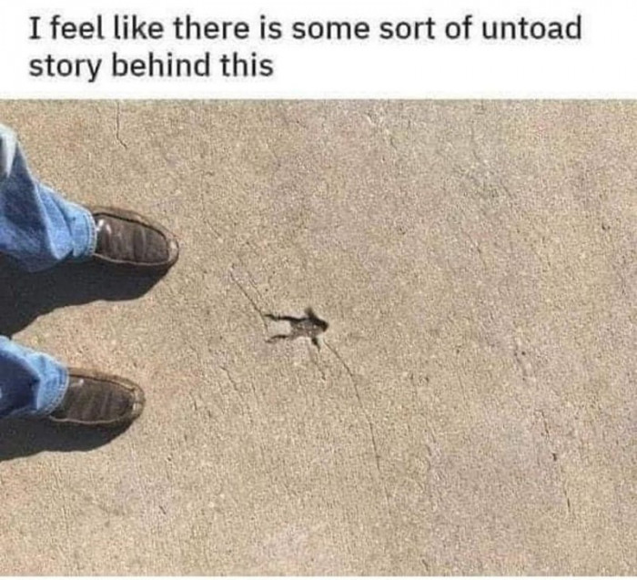 12. When we need to find the untoad story