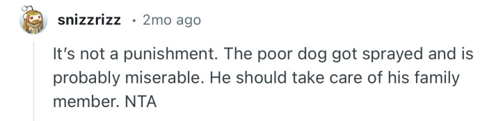 “It’s not a punishment. The poor dog got sprayed and is probably miserable.”