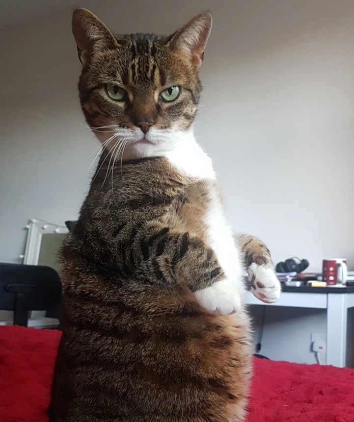 4. “She’s trying to distract me from work, as usual.”