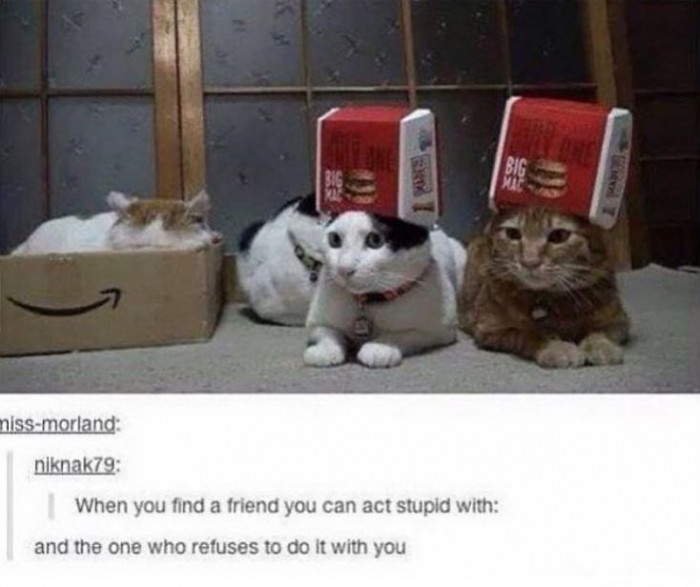 17. Looks like every friend group I've ever seen.