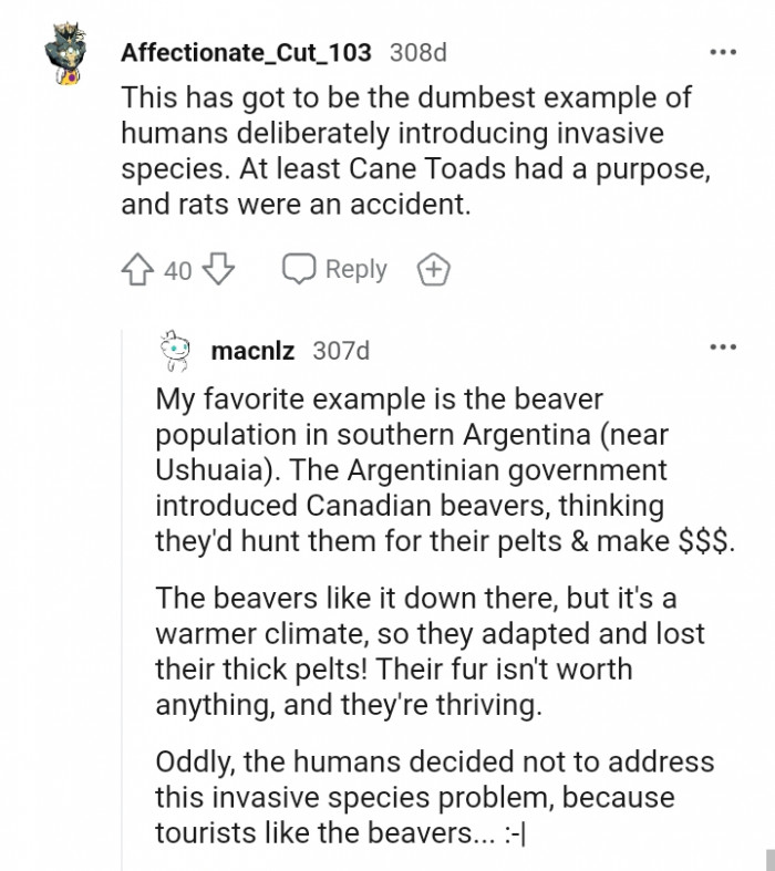 This Redditor's favorite example is the beaver population