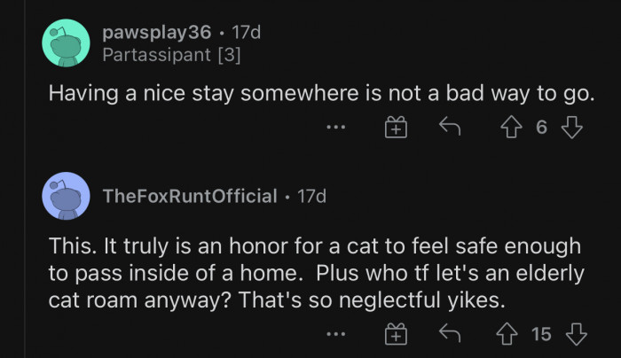 It was neglectful of the owner to let an elderly cat roam around.