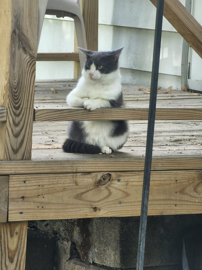 6. "Lucas is waiting for the bartender to take his order."