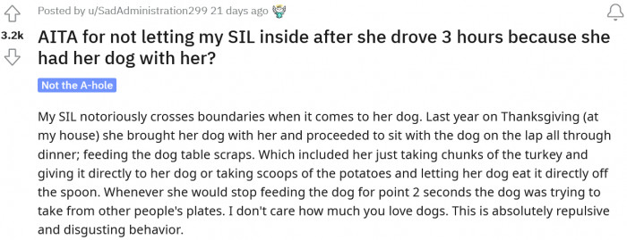 Reddit user u/SadAdministration299 shared a story about a boundary she set with her sister-in-law. As she explained, her SIL was notorious for crossing the line when it came to her dog.
