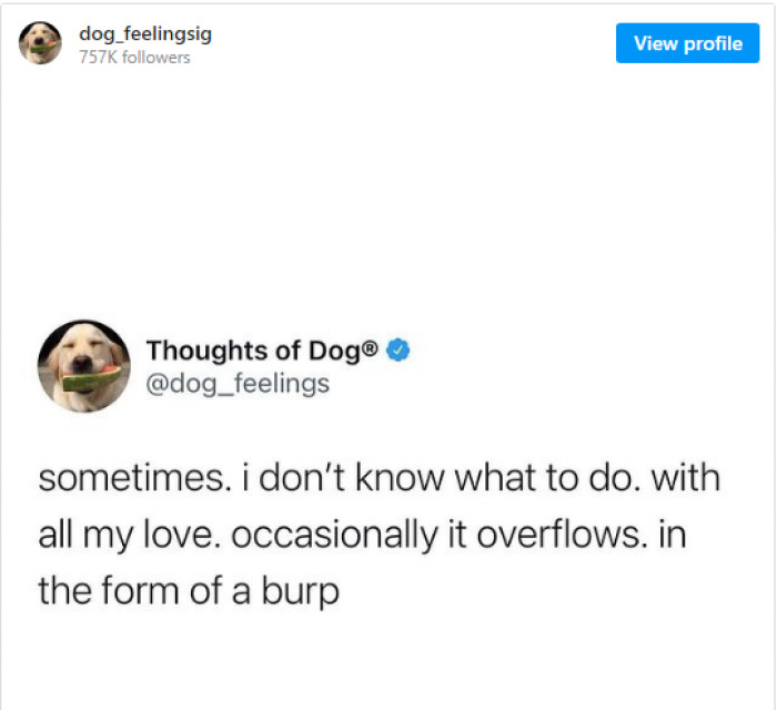 6. This is how dogs show that they love you