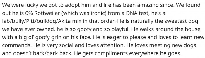 It turned out that the dog they chose was 0% Rottweiler, but 100% the best dog ever.