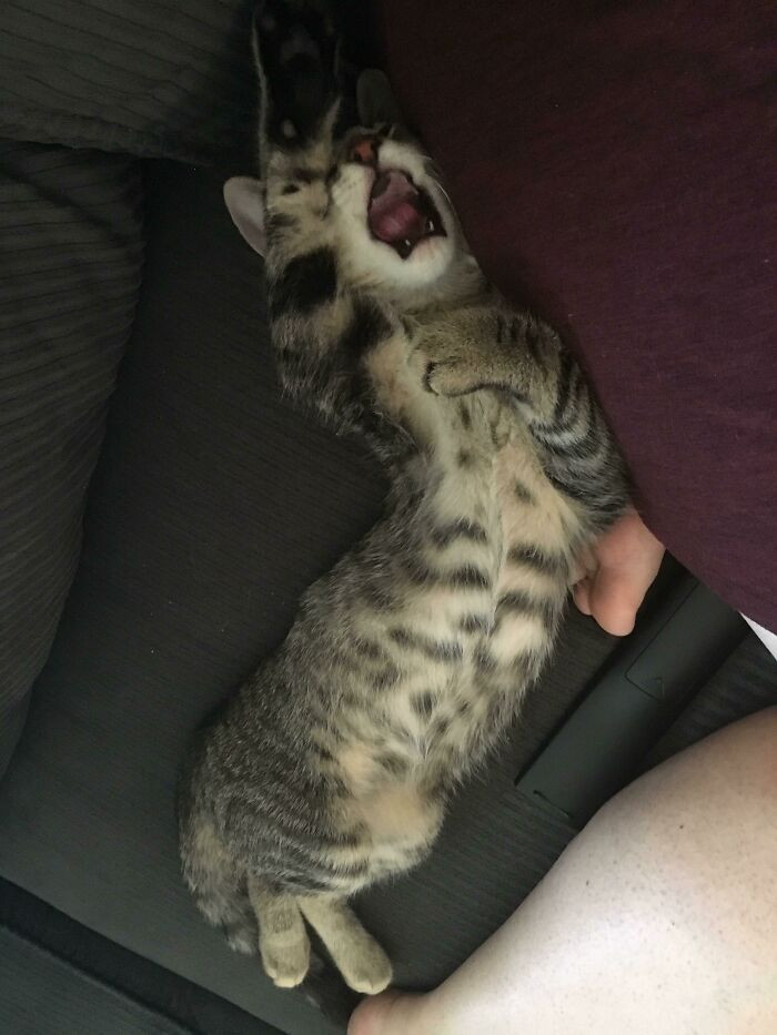 "Hoku Gets A Little Dramatic When I Have To Leave On Monday Morning"