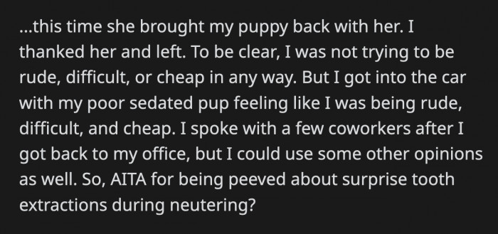 She brought him his dog back, and OP felt like he was unreasonable for causing a fuss over what happened. But is he really at fault for getting upset over a surprise medical procedure he didn't consent to on behalf of his dog?