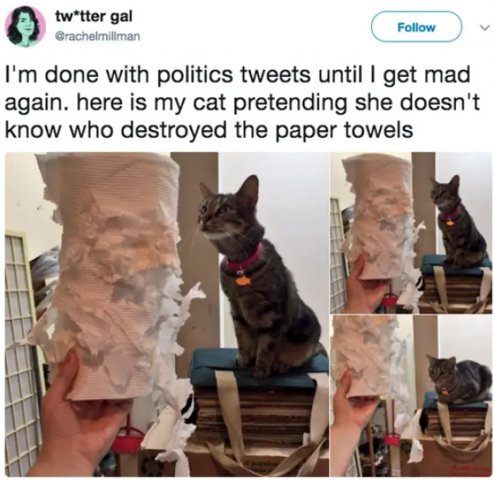 6. "Oh my god. It's egregious."