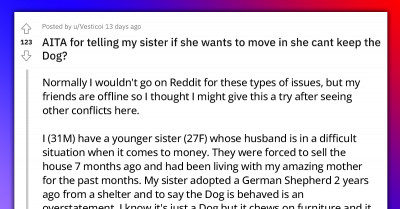 Brother Tells His Sister to Leave Their Family Dog Behind If They Want to Temporarily Move Into His House