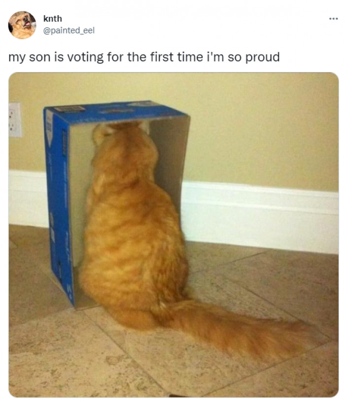 7. Exercising his right to vote