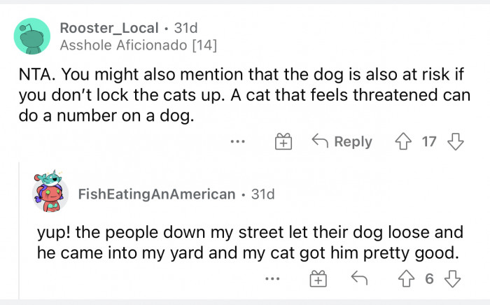 The cat might not like the dog there and can get defensive quickly.