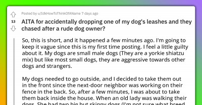 Redditor Gets Bashed Online For Accidentally Dropping Aggressive Dog's Leash Which Made It Run After Elderly Woman Walking Her Dogs