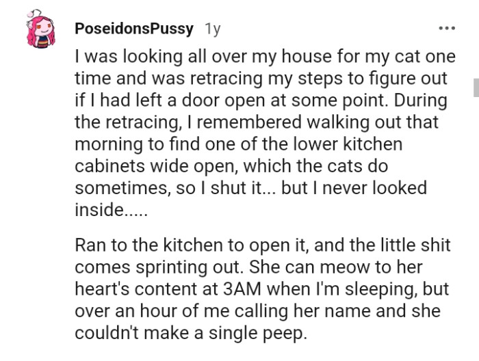 This Redditor once looked for their cat