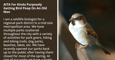 Female Biologist Asks Reddit If It Was Okay To Use Bird Droppings To Get Rid Of A Creepy Old Man