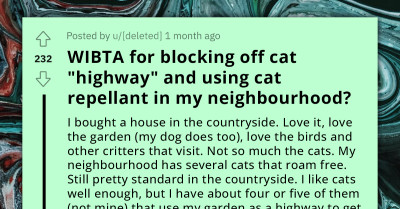 Man Asks If He'll Be The AH For Repelling The Neighborhood Cats That Are Causing Harm To His Garden