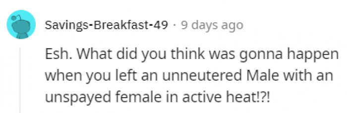 Something amazing, I guess?