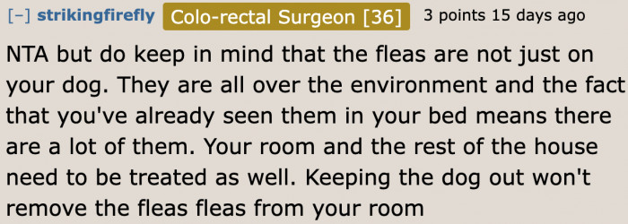 The OP needs to address her surroundings too. Fleas might have laid eggs in parts of her room.