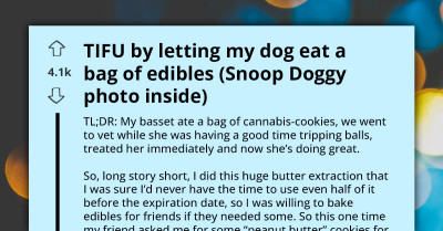 Basset Hound Gets High After Eating Peanut Butter Cookies Her Owner Baked For Friend's Bachelorette