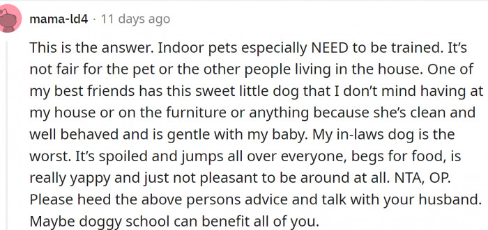 Indoor pets need to be trained. That's the truth.