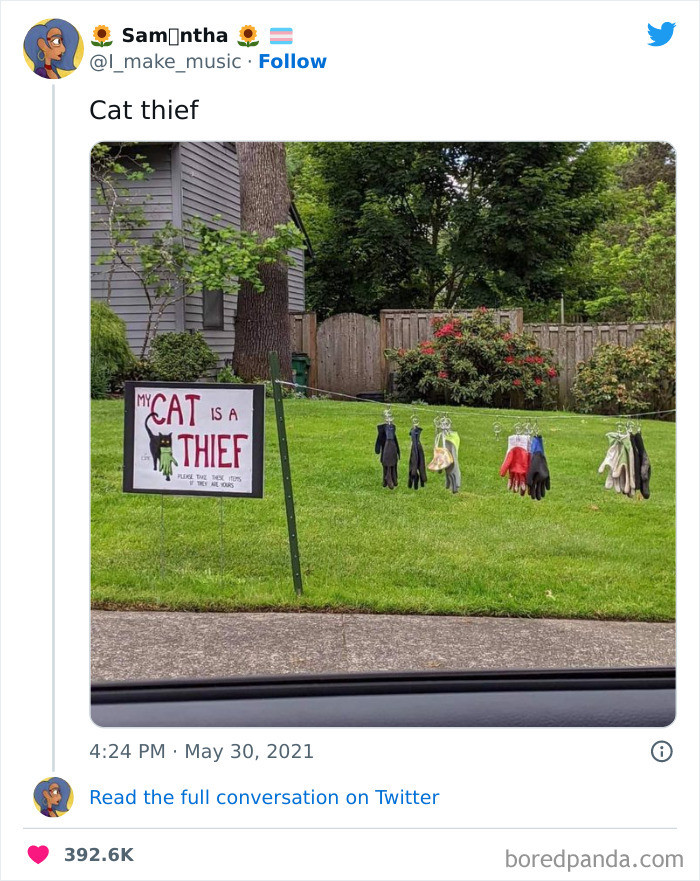 16. My cat is a thief