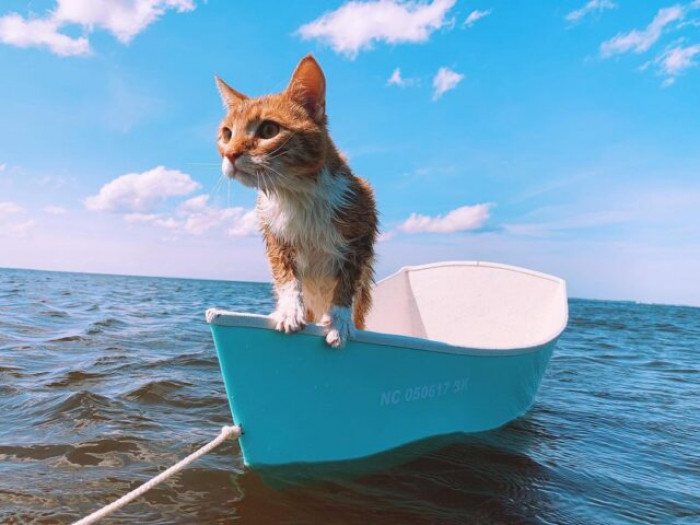 Even has his own boat