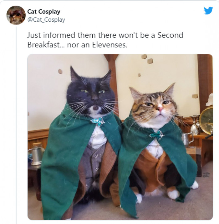 7. Don't joke with their meals, or else they'll destroy your hobbit hole