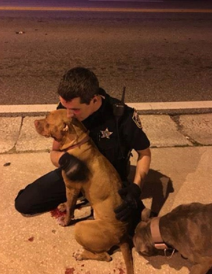 It was a chilly morning at 4:30 AM.