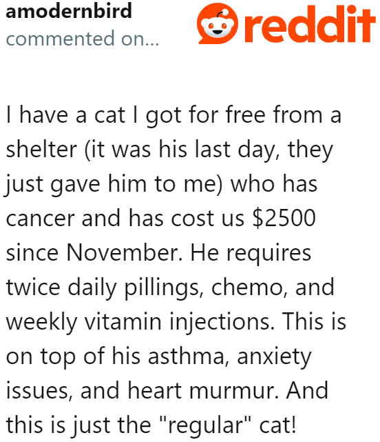 Getting the cat for free doesn't mean owners won't spend money.