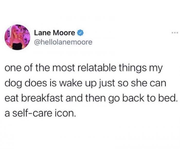 12. A self-care icon: