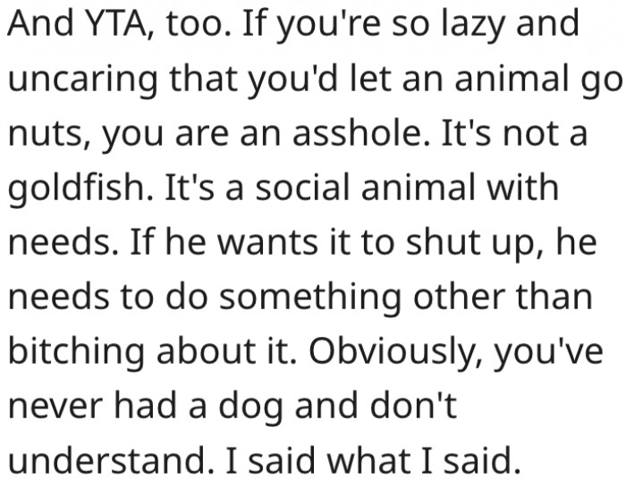 10. Dogs have social needs, which she can help meet.