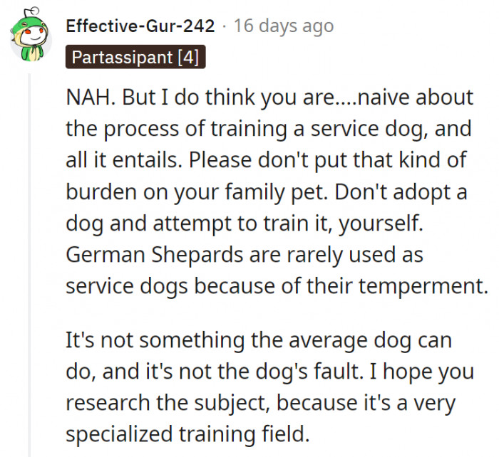 9. This person agrees with OP about not placing the burden on the family pet