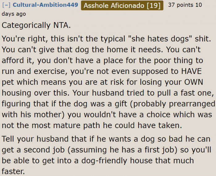 If the husband insists on getting a dog, he needs to get a job that would afford them a home where dogs are allowed.