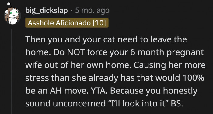 Someone had a suggestion that was more practical: OP and his cat temporarily move out of the home instead. Unfortunately, this would mean leaving his very pregnant wife alone, which doesn't seem like a good idea either.